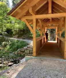 Baiersbronner Tonbachsteig mit Brücke