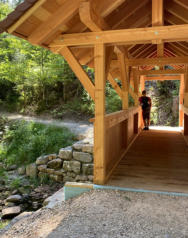 Baiersbronner Tonbachsteig mit Brücke