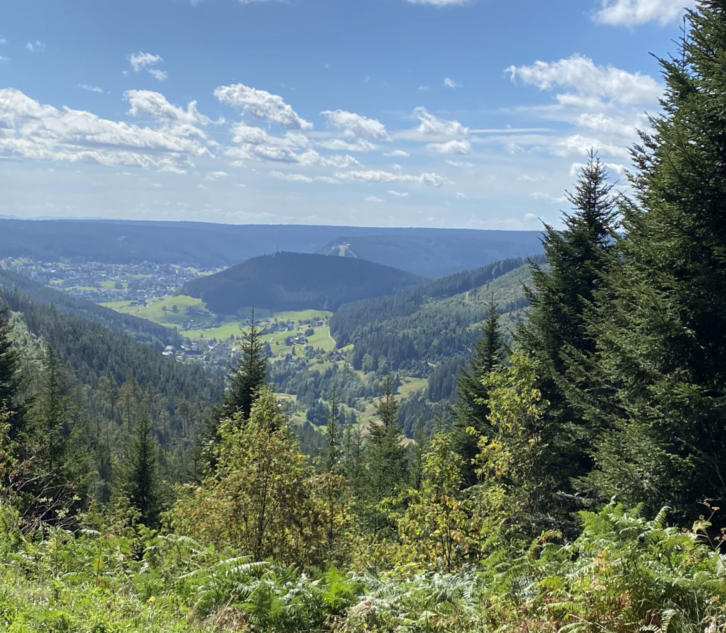 Blick auf Baiersbronn
