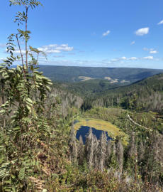 Tonbachsteig Huzenbacherseeblick
