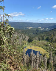 Tonbachsteig Huzenbacherseeblick