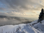 Winterlandschaft im Schwarzwald