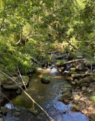 am Bachlauf des Tonbachs