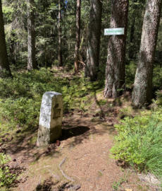 auf den Höhen des Schwarzwaldes