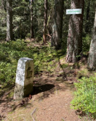 auf den Höhen des Schwarzwaldes